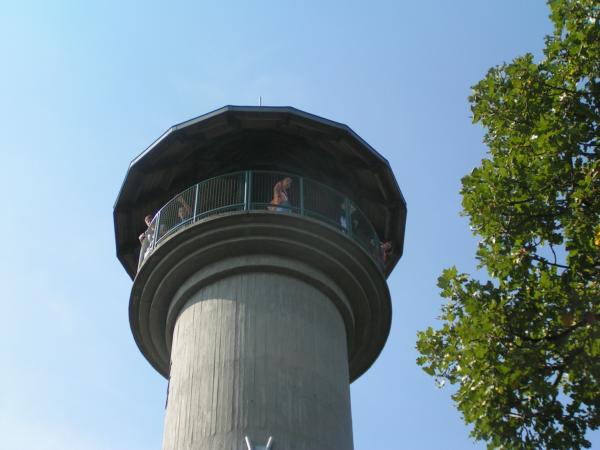 pict4761 (web)
